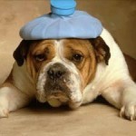Influenza "australiana" H3N2: Sintomatologia e prevenzione. Come riconoscerla e quale prevenzione?