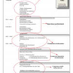 Guida alla compilazione di un curriculum vitae