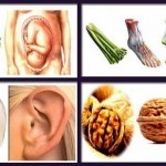 Alimenti che curano l'organo a cui assomigliano