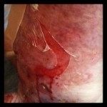 Skin Tear: una nuova frontiera da esplorare