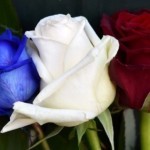 Infermieri suicidi e “silenzio stampa” in Francia: pronti a scendere in piazza!