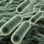 Ferite infette: un sensore che rileva la presenza di batteri