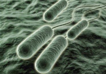 Ferite infette: un sensore che rileva la presenza di batteri