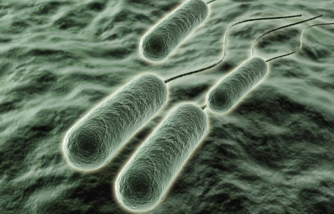 Ferite infette: un sensore che rileva la presenza di batteri