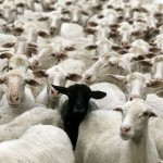 Perché il vaccinarsi è un’azione infermieristica