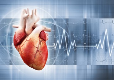GISC: un nuovo modello di gestione integrata dello scompenso cardiaco