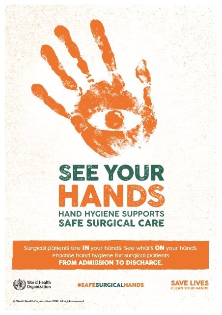 La salute nelle tue mani - Save lives: clean your hands, 5th of May 2016 2
