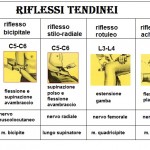 Semeiotica neurologica: riflessi tendinei 1