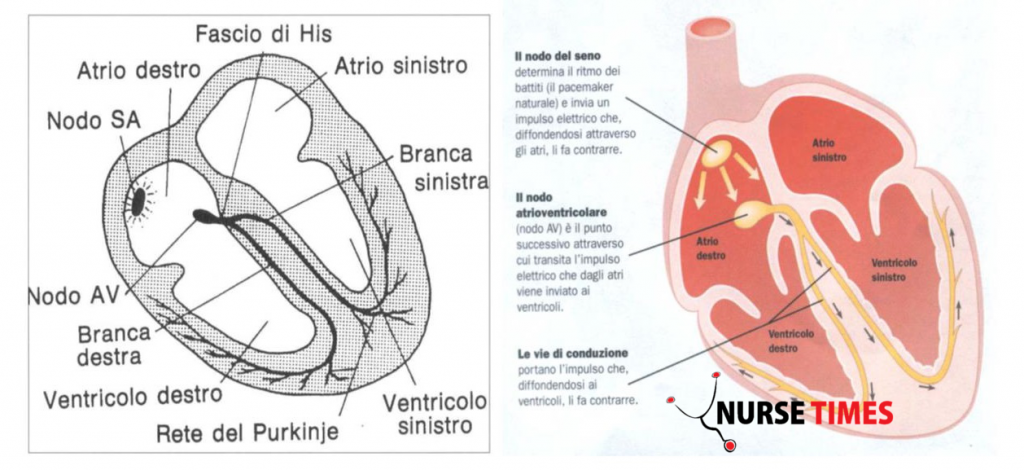 E Il Cuore Quando D'un Ultimo Battito