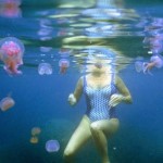 Il “morso” della medusa: trattamento e medicazione