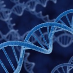 Al via la banca dati del DNA