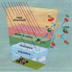 "Salvati la pelle": la nuova app che ti protegge dai raggi solari 2