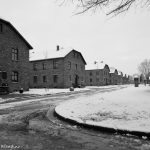 Il silenzio di Auschwitz
