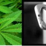 Rapporto tra cannabinoidi ed amnesia