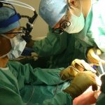 La cardiochirurgia mini invasiva nei bypass e nelle sostituzioni valvolari cardiache 3