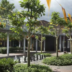 Dopo l'Olanda, “Dementia Village” sarà realizzata anche in Italia 1