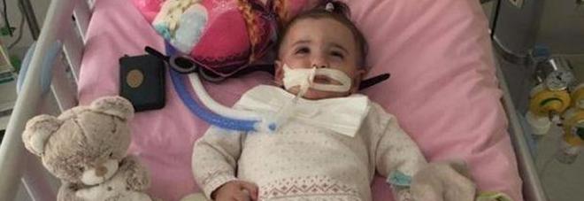 Marwa, in fin di vita a 15 mesi. Medici e Giudici vogliono staccare la spina, i Genitori si oppongono
