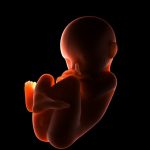 Aborto e obiezione di coscienza: da quale parte stare? 1