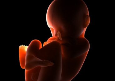 Aborto e obiezione di coscienza: da quale parte stare? 1