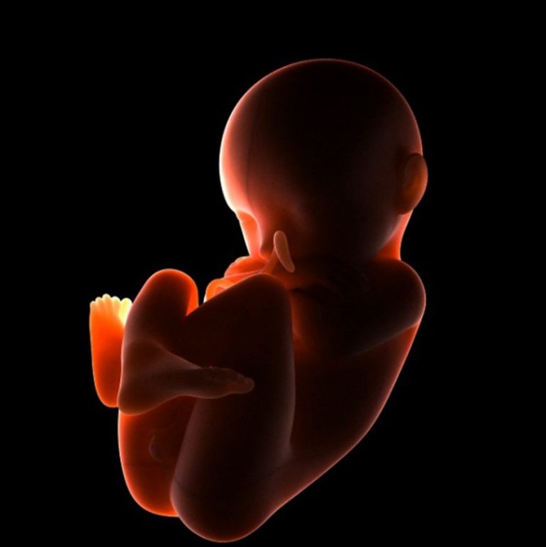 Aborto e obiezione di coscienza: da quale parte stare? 1