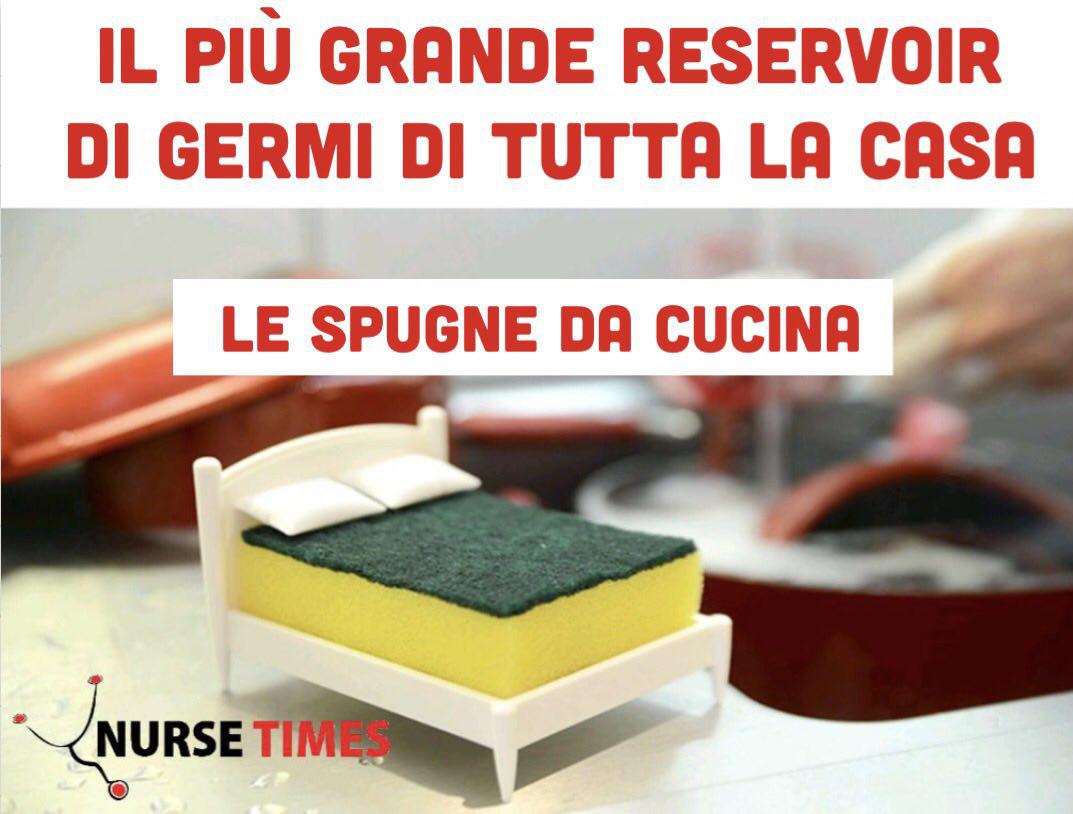 Il più grande reservoir di germi di tutta la casa? Le spugne da cucina