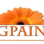 GPAIN (Gruppo Permanente Associazioni Infermieristiche Nazionali) scrive alla ministra Lorenzin