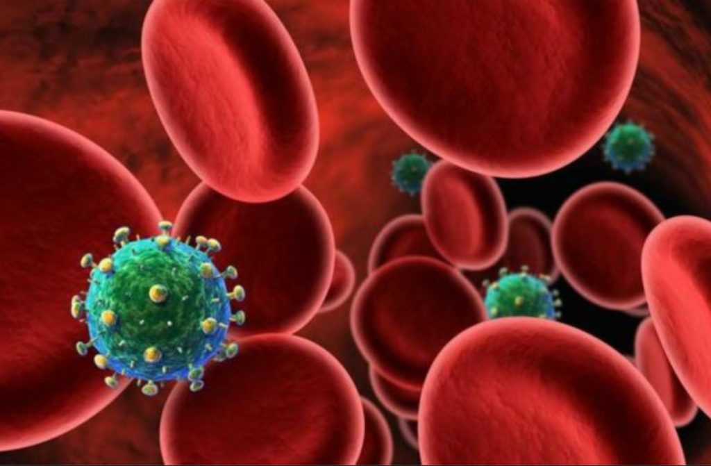 Il Clostridium botulinum e la tossina botulinica conoscerlo per combatterlo Nurse Times