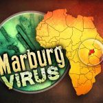Malattia di Marburg: nuovi casi al confine tra Uganda e Kenya