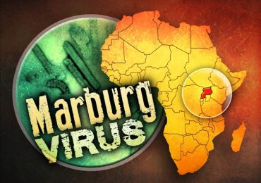 Malattia di Marburg: nuovi casi al confine tra Uganda e Kenya