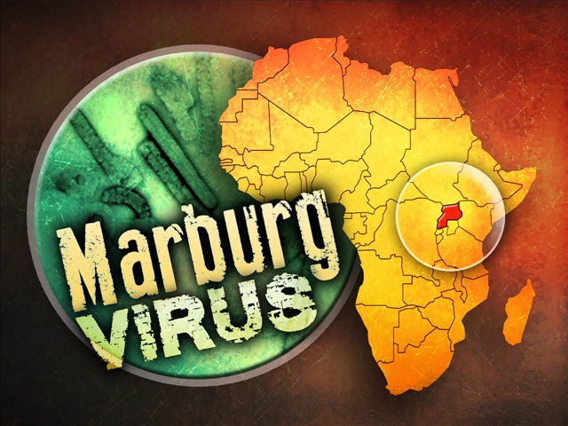 Malattia di Marburg: nuovi casi al confine tra Uganda e Kenya