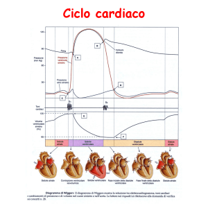 Il diagramma di Wiggers: semplice strumento di analisi fisiologia cardiaca 1