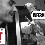 Ecco a voi Messalina, la mascotte di Nurse Times!