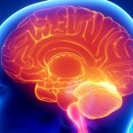 Disordini respiratori nello stato di incoscienza 2