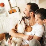 Infarti e malattie cardiache: per i proprietari di cani il rischio di morire è minore