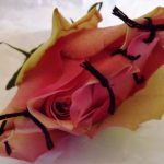 L’Ordine di Firenze-Pistoia aderisce alla Giornata mondiale contro le mutilazioni genitali femminili