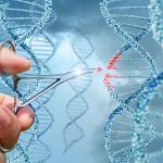 Terapia genica: primo bambino curato da leucemia in Italia