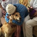 Cremona, gli animali domestici potranno stare accanto ai pazienti