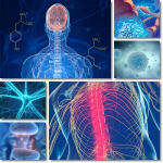 Ipertermia e Fenomeno di UHTHOFF 1