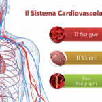 Farmaci attivi sul sistema cardiovascolare