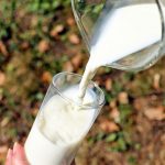 Dietro front: latte e formaggi non incentivano l’obesità infantile