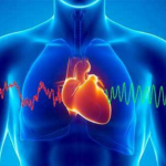 Cuore e cervello: la Coerenza Cardiaca 2