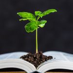 Fondazione GIMBE, nuovo bando per 30 borse di studio