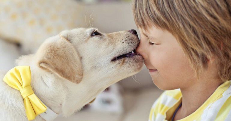 Cani sentinella per riconoscere iperglicemia nei bambini