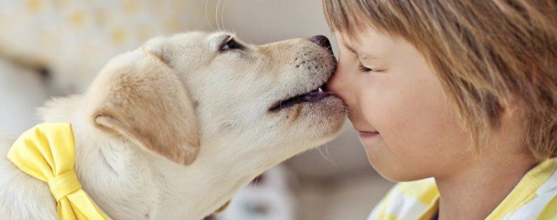 Cani sentinella per riconoscere iperglicemia nei bambini