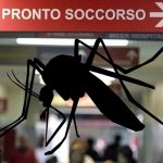 Castellammare, sciami di zanzare nel Pronto Soccorso "scantinato"