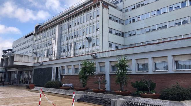 Gli studenti del Liceo Scientifico di Grosseto affiancano infermieri e medici per un mese
