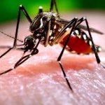 West Nile: