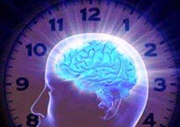 Cervello, scoperto l’orologio biologico che mette in ordine le esperienze