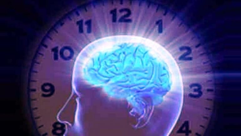 Cervello, scoperto l’orologio biologico che mette in ordine le esperienze