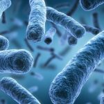 Infezioni ospedaliere, arrivano i disinfettanti a base di batteri